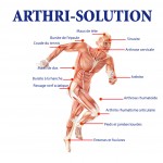 Chondrogen par Arthri-Solution